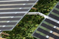 1 kilowatt outre de système de support de toit plat de panneau solaire de grille avec le pro inverseur