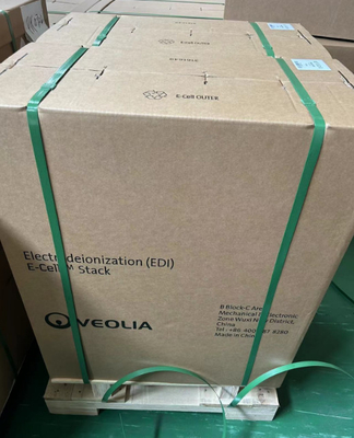 Flux 5,0 M3/H Veolia Suez Modules EDI E-Cell-3X Suez Pour fournir de l'eau ultrapure