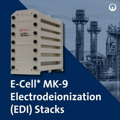 Veolia MK-9 EDI Stack 35 GPM Eau ultrapure pour les appareils photovoltaïques